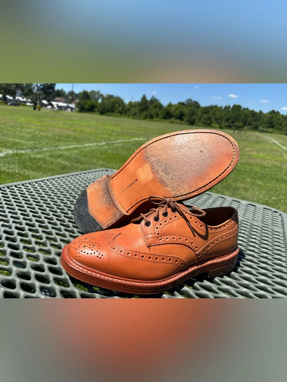 Burberry Brown Leather Derby Brogue Shoes Men's UK 8.5 US 9.5